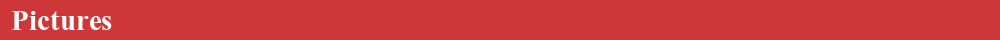 //ae01.alicdn.com/kf/HTB1ed4GIXXXXXadXVXXq6xXFXXXT/224531527/HTB1ed4GIXXXXXadXVXXq6xXFXXXT.jpg