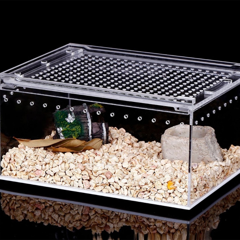 Title 3, Reptile Feeding Box Snake Breeding Box Lizards ...