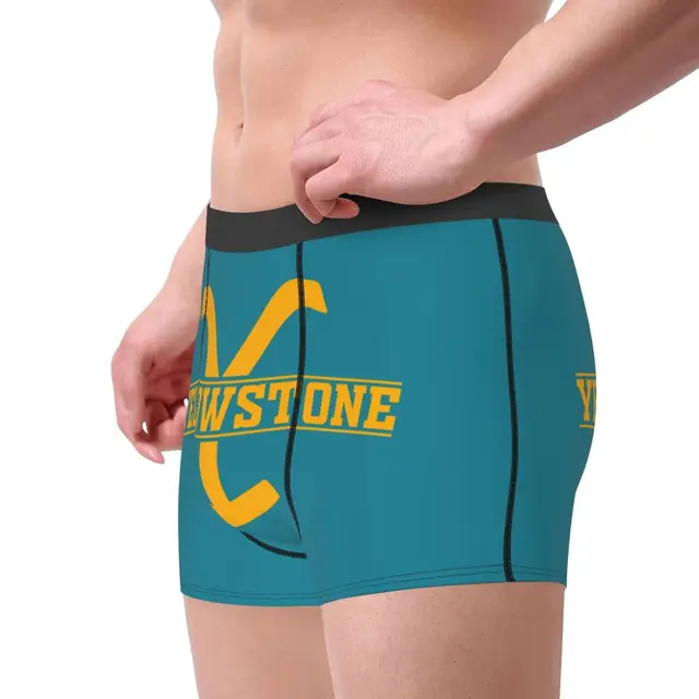 MULTICOLORED MEN'S TRUNK MASTER YELLOWSTONE24 - Men's underwear PULLIN