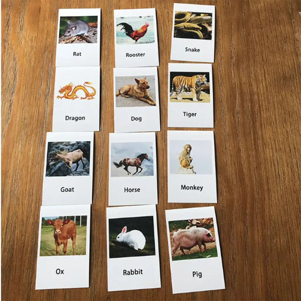 Chinese Zodiac Model Naming Card Templates for Montessori Education