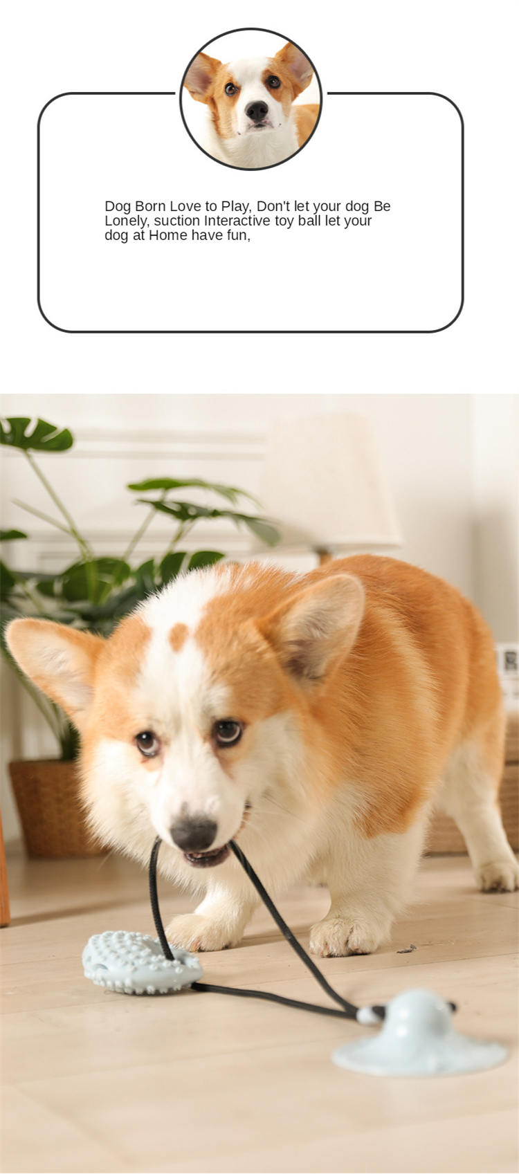 Dog Toys Silicon Suction Cup Tug Interactive Dog Ball Toy for Pet Chew Bite Tooth Cleaning Toothbrush Slow Food Pet Supplies