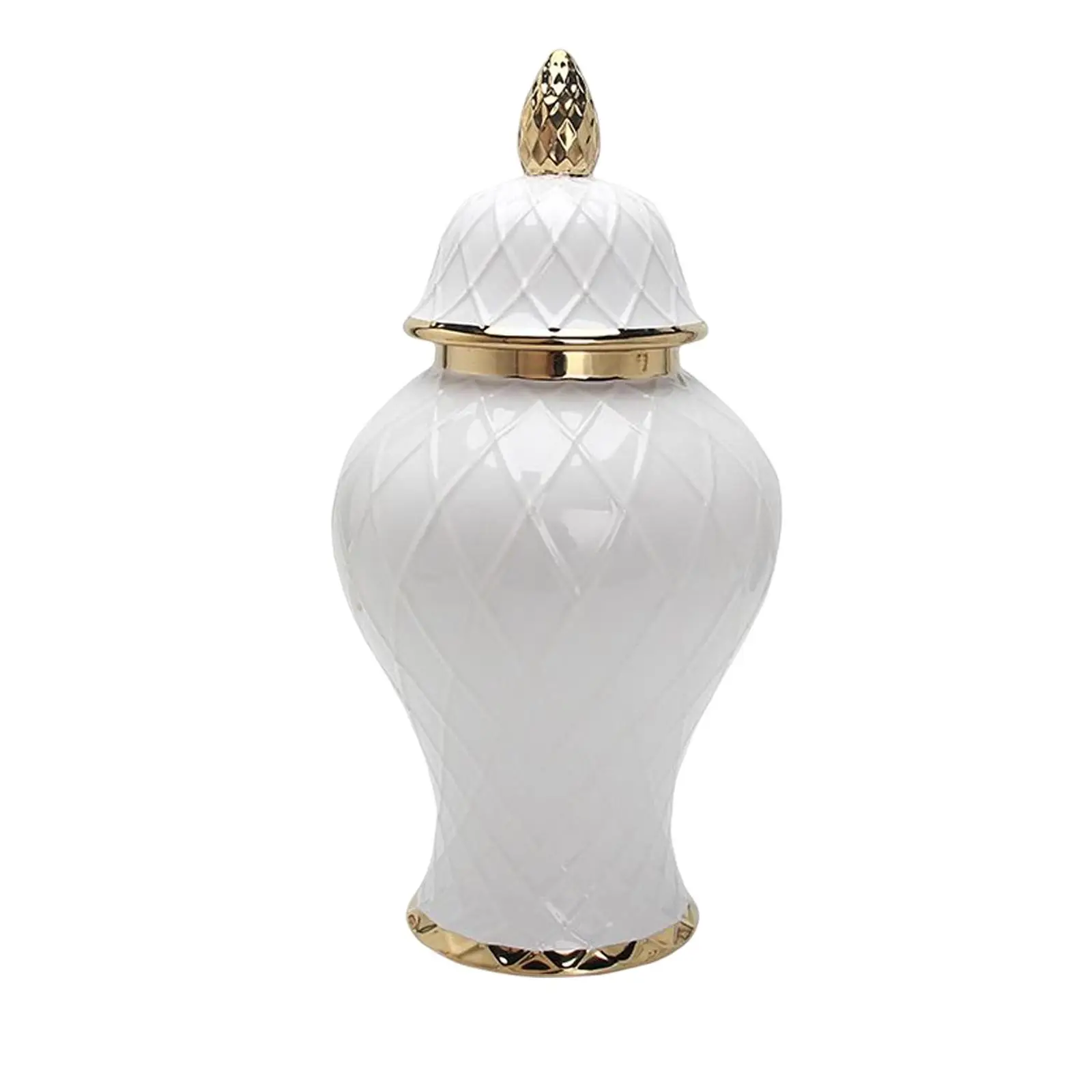 Modern Ceramic Ginger Jar Porcelain Storage Jar Vase Ornament for Home Cafe