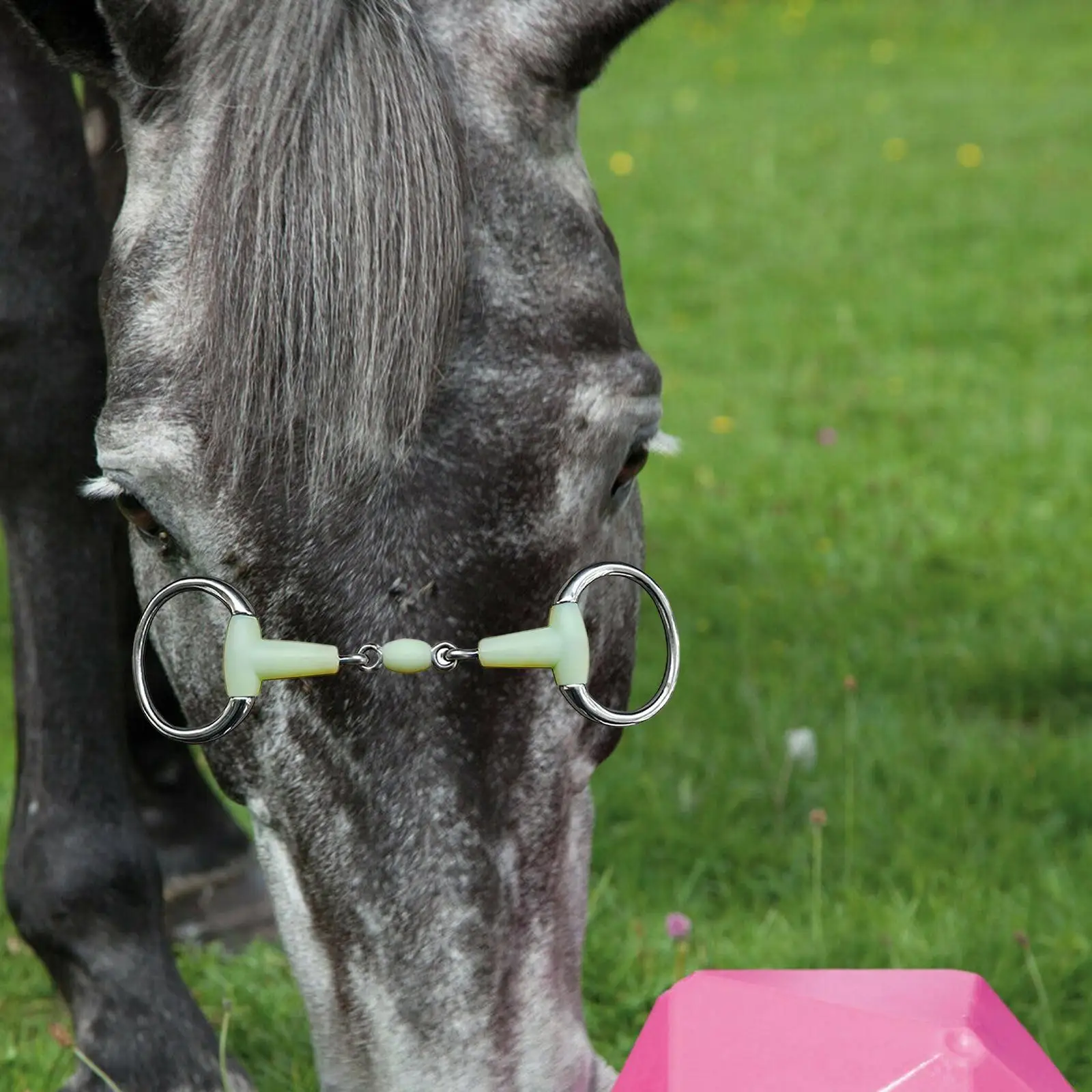 Horse Bit Horse Training Snaffle Tool for Draft Horses Mules