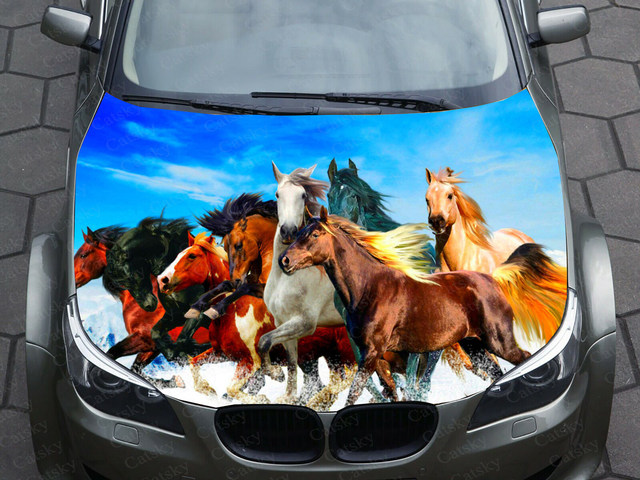 Horse hotsell Sunset Vinyl Hood Wrap Bonnet Decal Sticker Graphic Universal Fit