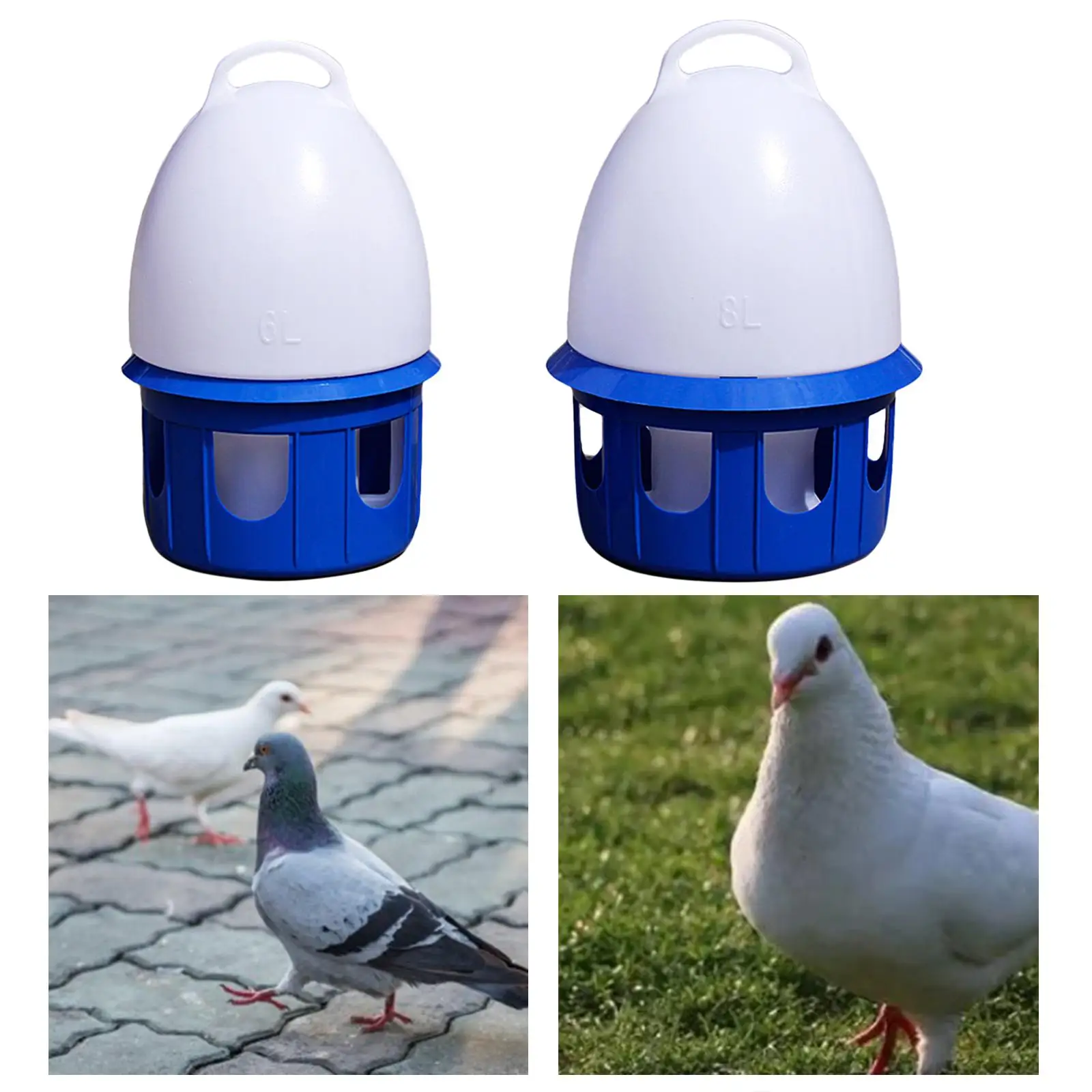 Pigeon Waterer Drinker Water Bottle Feeder Watering Water Feeding Automatic Bird Water Dispenser for Dove Parrot Parakeet Duck