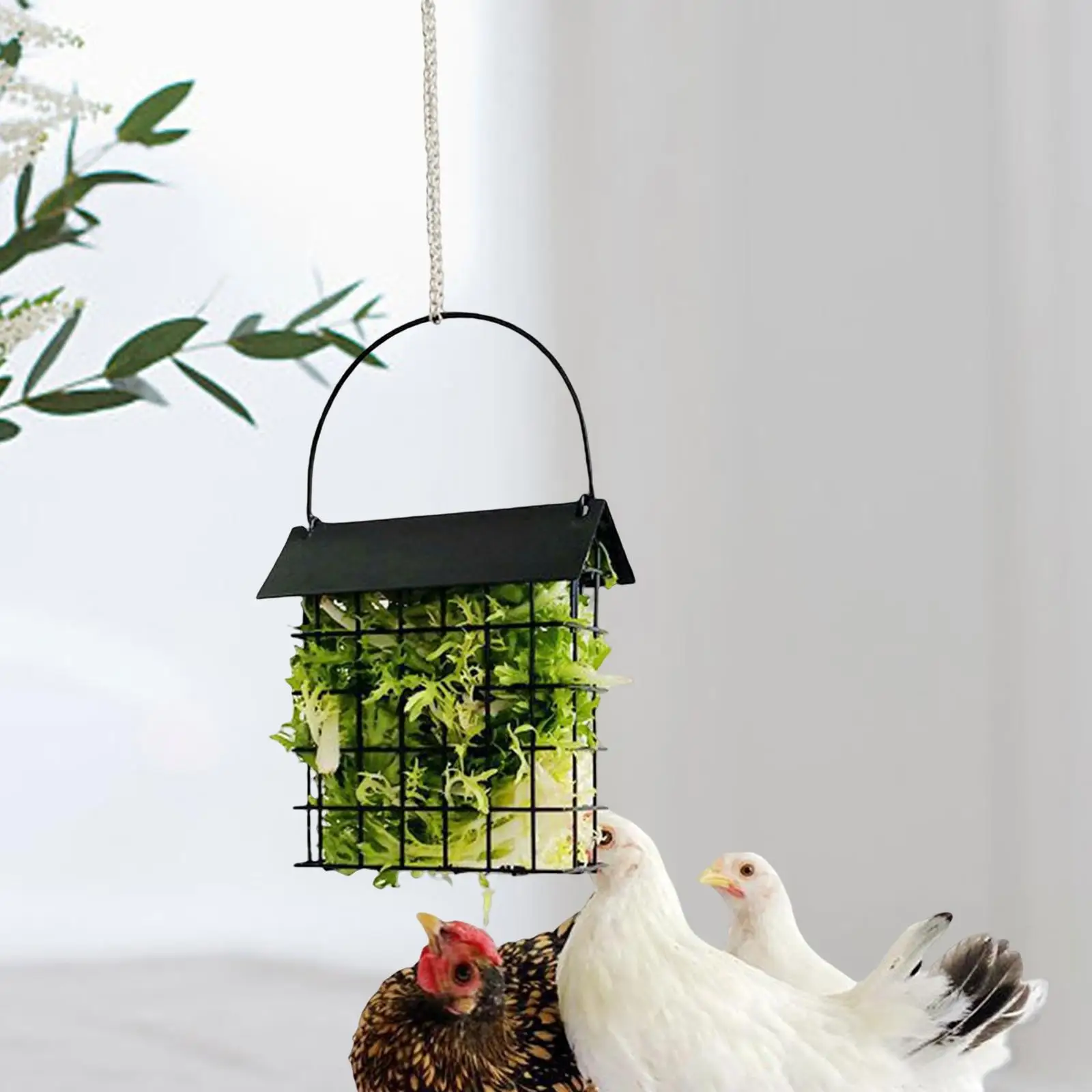 Suet Cake Bird Feeders Hanging Feeder for Hens Chicken Toy Treat Feeding Tool Poultry Fruit Holde for Cabbage Lettuce Veggies