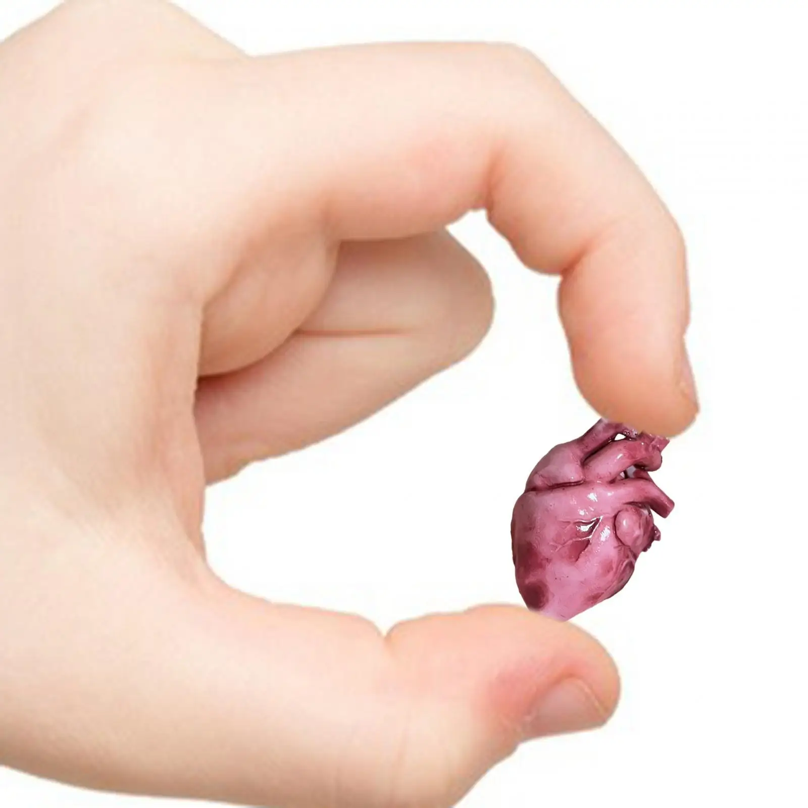 1/18 Scale Resin Heart Model Gift for Kids Adults Multi Purpose Ornament