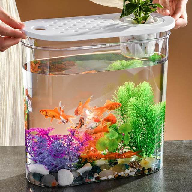 Decorazioni Acquario da tavolo in plastica Acquaponico Fioriera  infrangibile Serbatoi Supporto per coltura idroponica Coltivazione del  terreno per