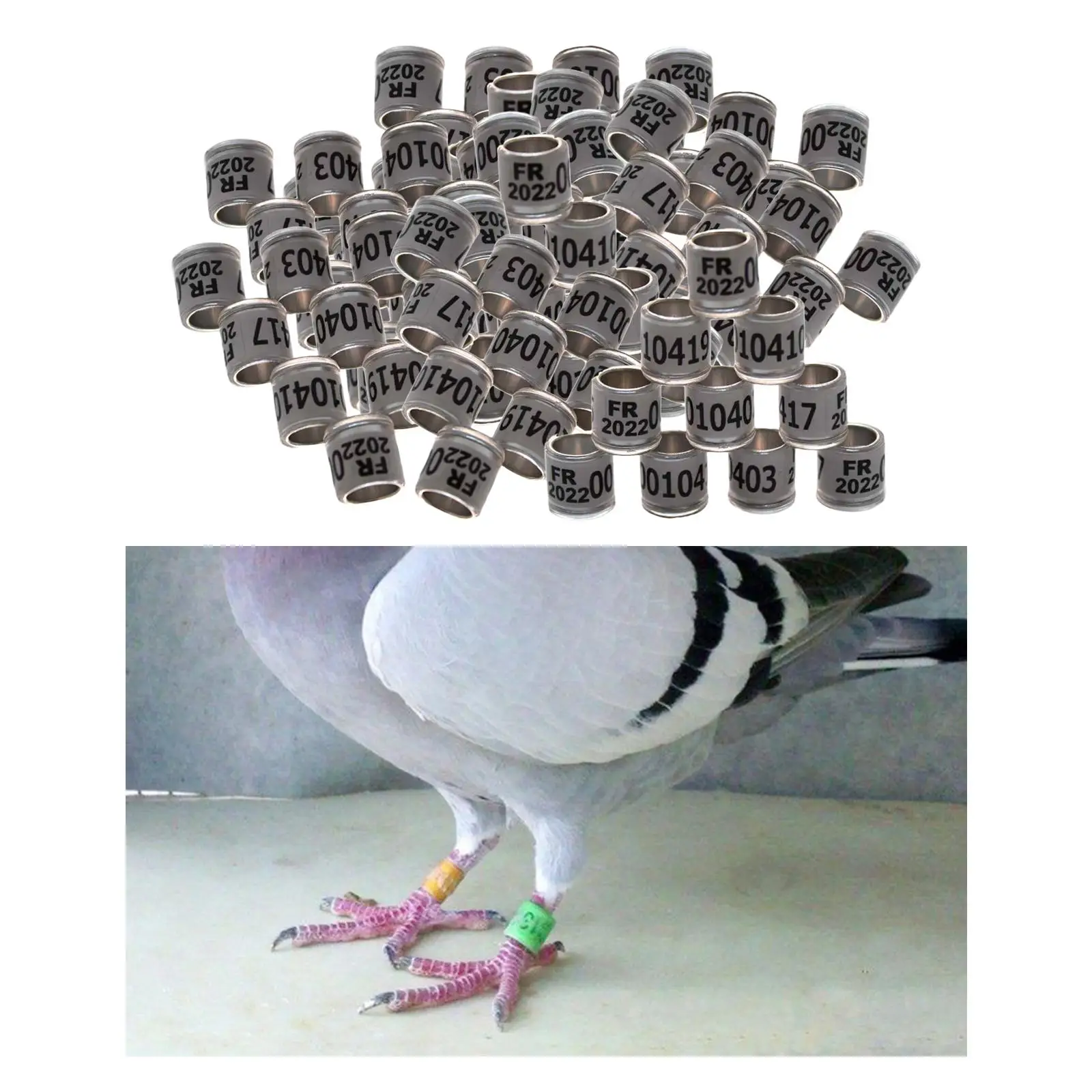 100Pcs 2022 Aluminium  Racing Pigeon Foot Rings Bands 8mm