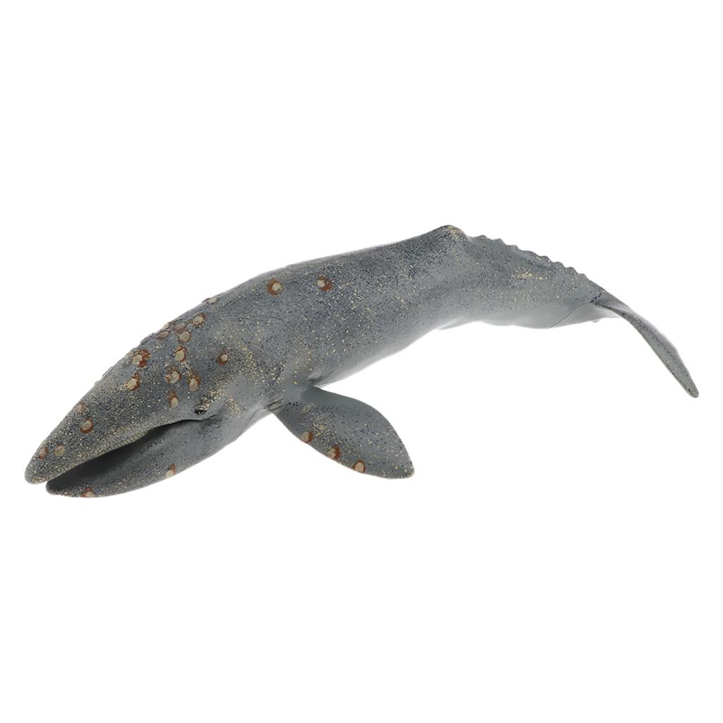  Sea Large Humpback  Animal Model Plastic Figure  Gifts