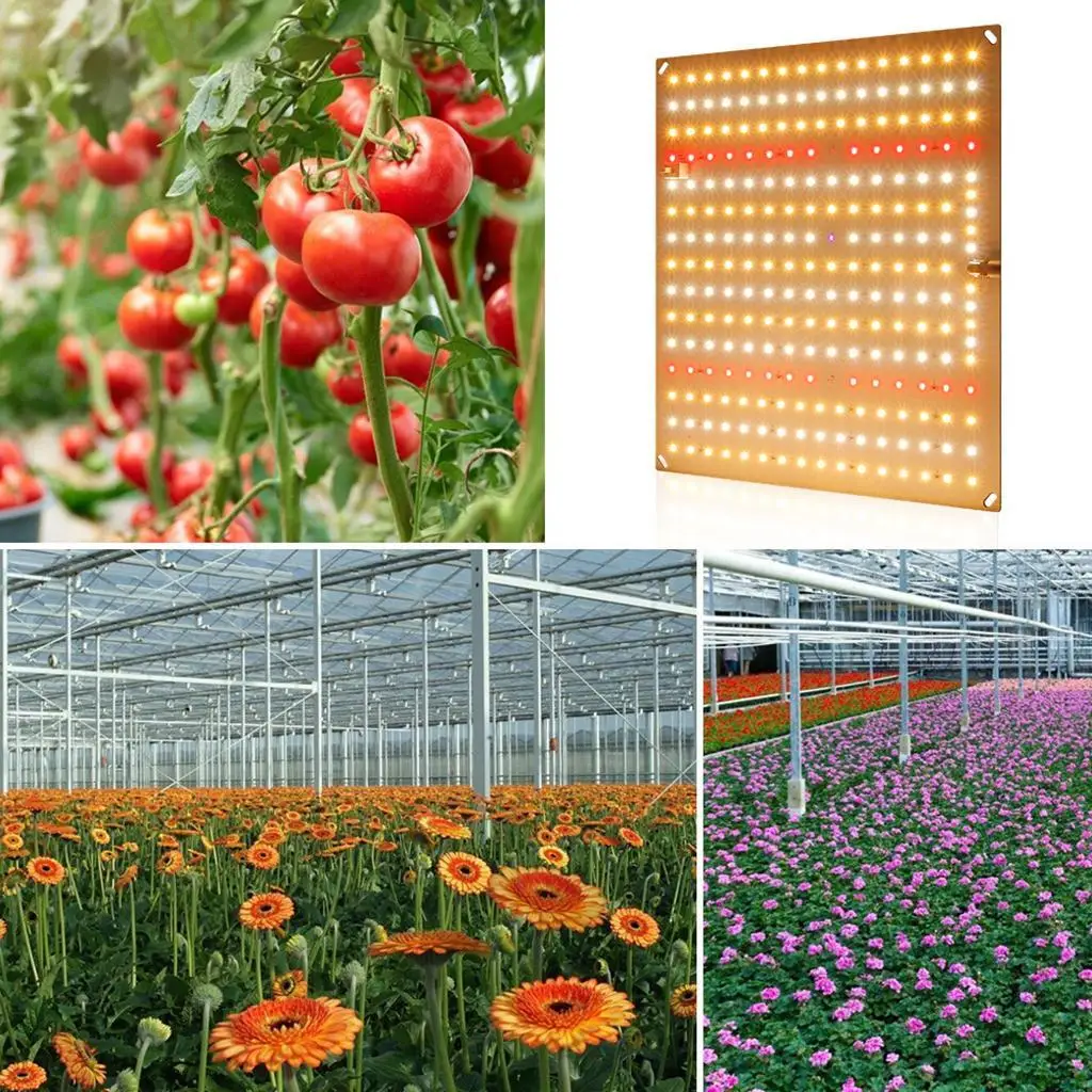 50W LED Grow Light Panel Full Spectrum Plants Growing Lamp for Seed Starting