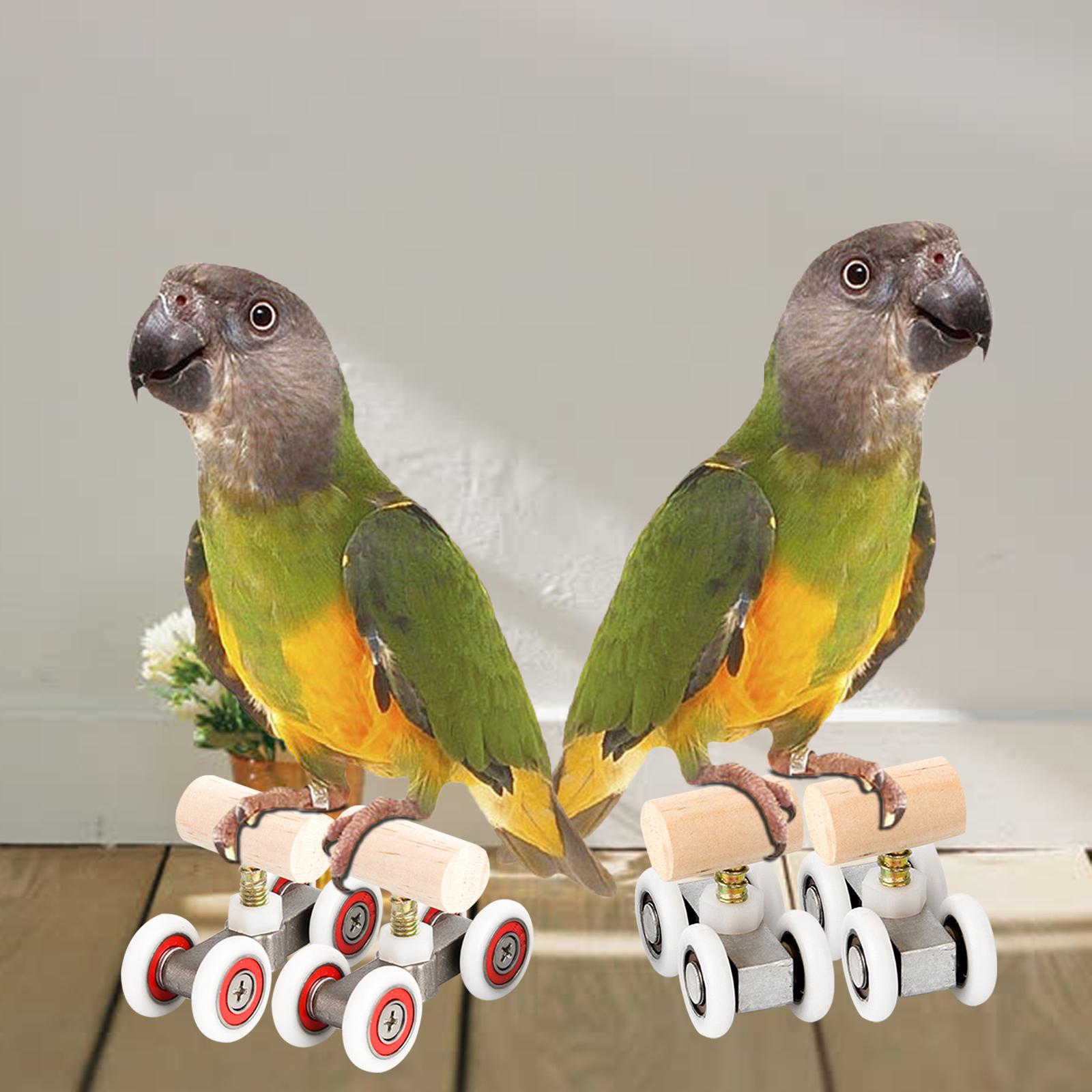 Mini Parrot Trick Roller Ice Skates Skateboard Intelligence Accessories for Lovebird Medium Large Birds Parakeet Macaw Conure