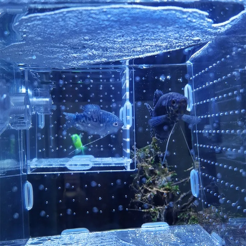 аквариум с прозрачной крышкой