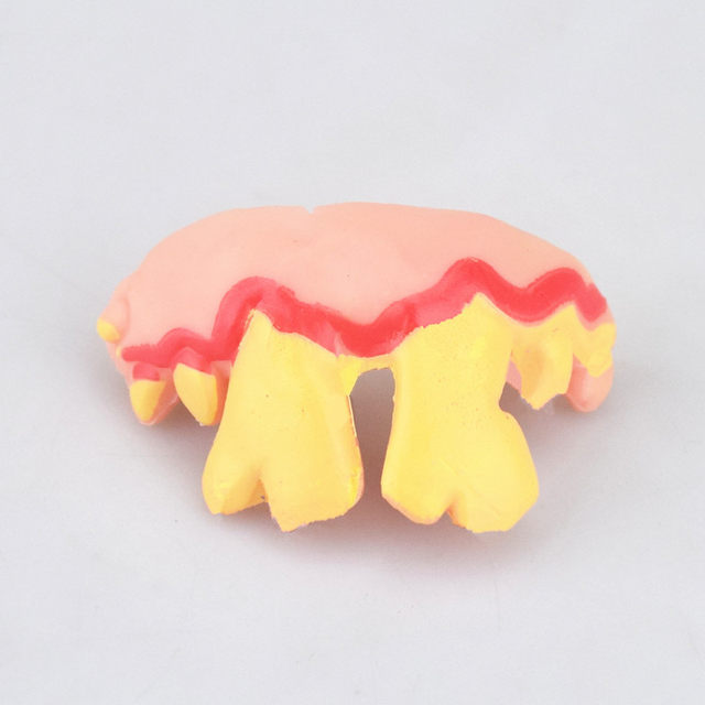 Dientes postizos divertidos para mascotas Accesorios de decoración de  perros Dientes Dentaduras postizas divertidas Juguetes Halloween Cosplay de  Halloween complicado