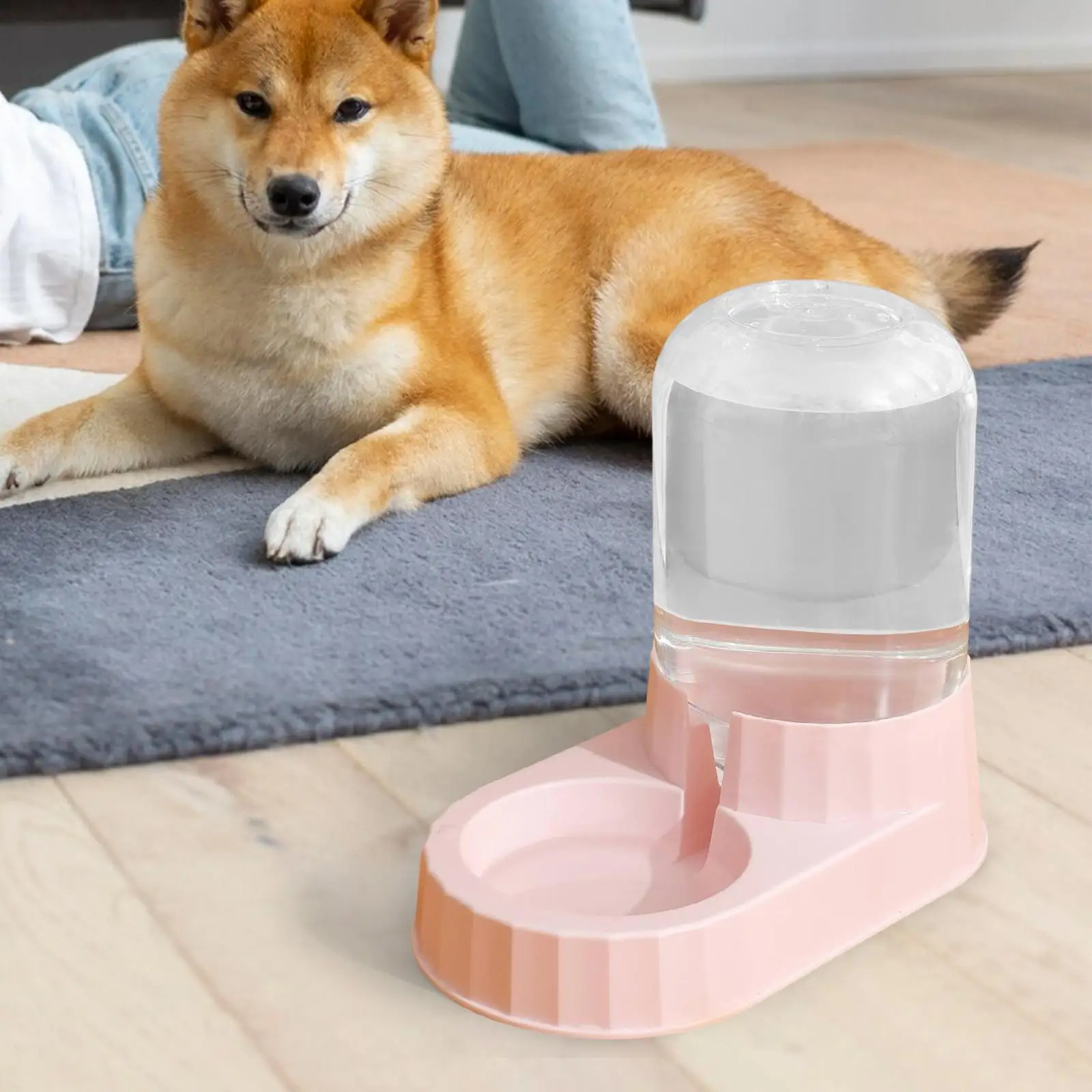 Automatic Pet Feeder Food Bowls Water Food Dispenser  Inclined Dish Nonslip Bottom Waterer for Kitten Kitty Rabbit Puppy