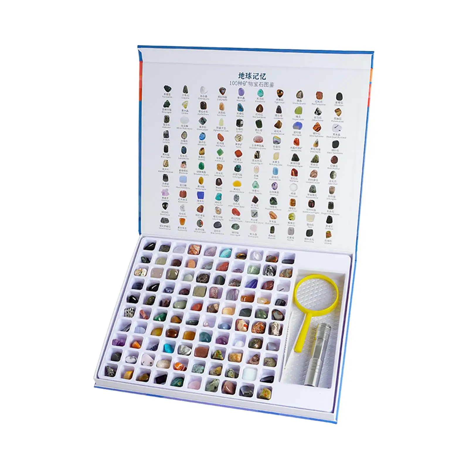 Rock & Mineral Collection  Rock Mineral Kit Educational for  6+
