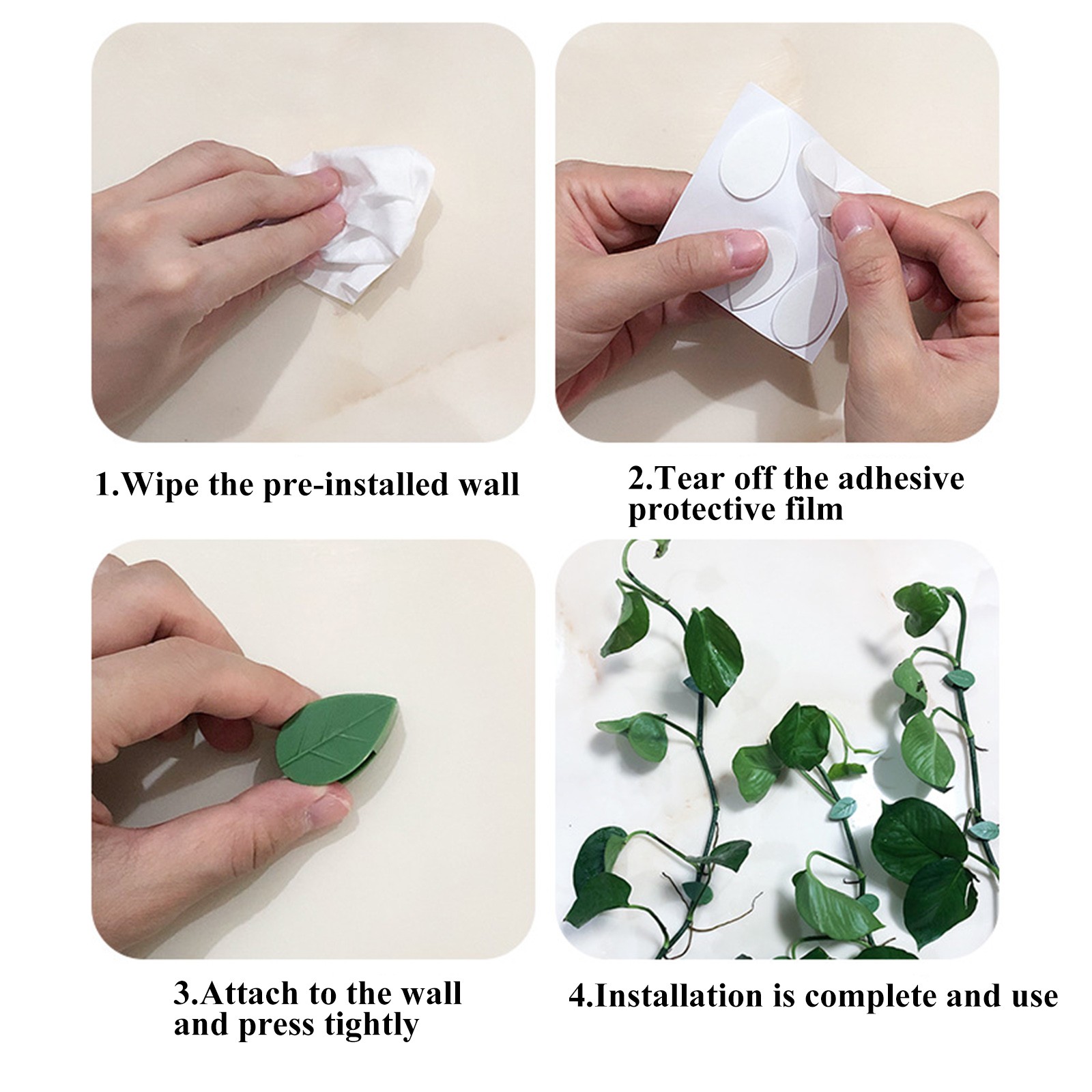 Pinces Windhager Pour Fixation Plantes | Clips Réutilisables Jardin Balcon