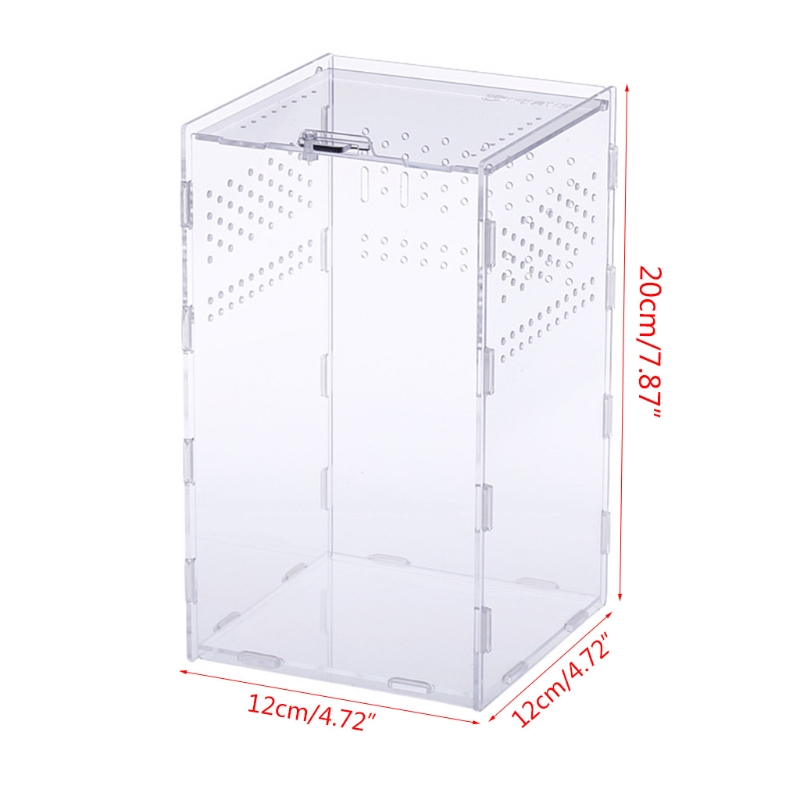 Title 4, Insect Feeding Box Transparent Acrylic Terrariu...