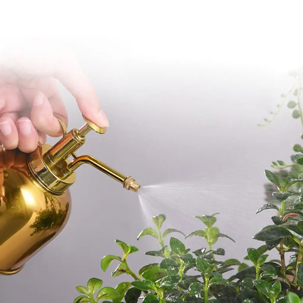 Stainless Steel Flower Watering Can Hand Pressure Succulent Plant Watering Spray