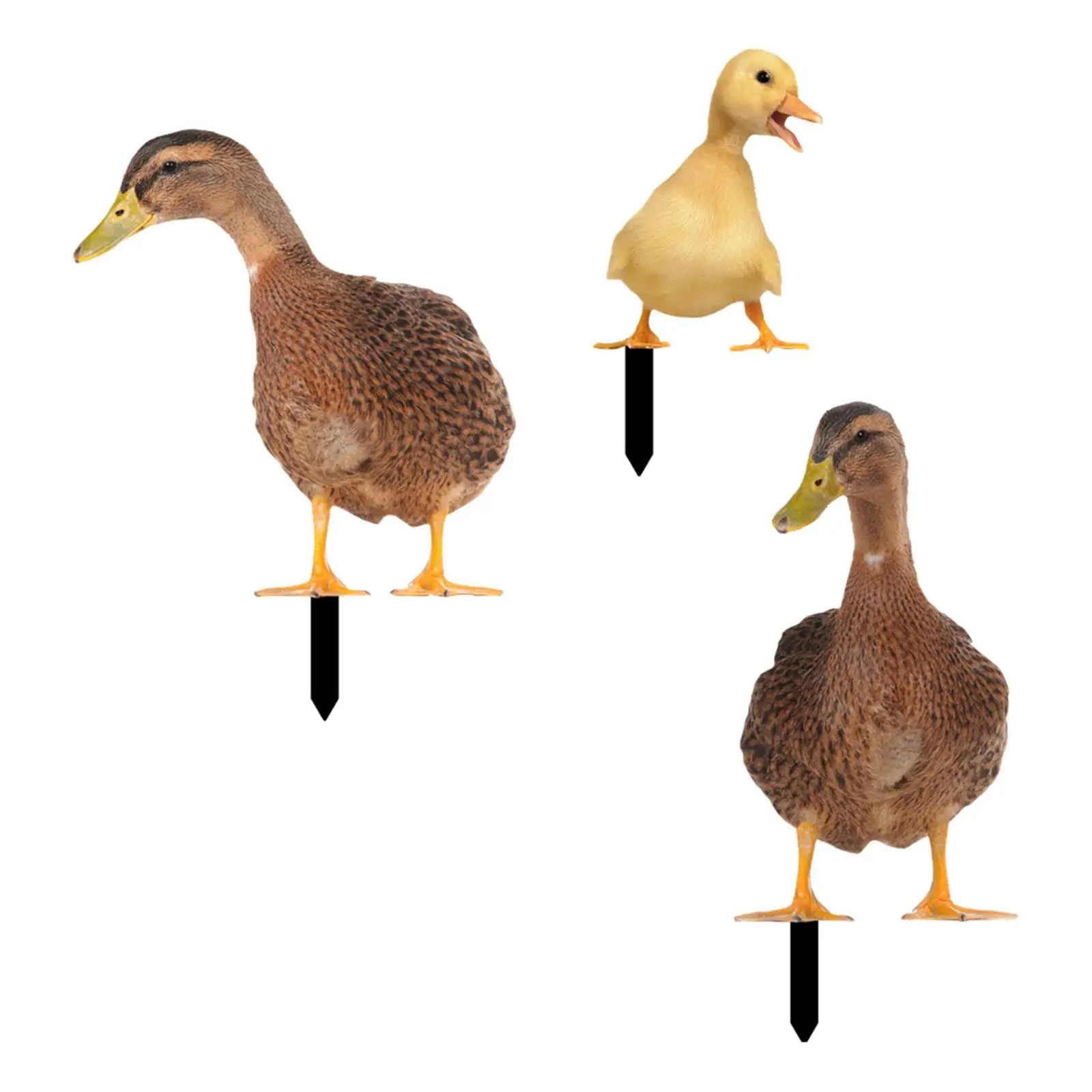 3x Acrylic Duck Statue Stakes Decorative Realistic Animals Figurines Stakes for Swimming Pool Front Porch Backyard Courtyard