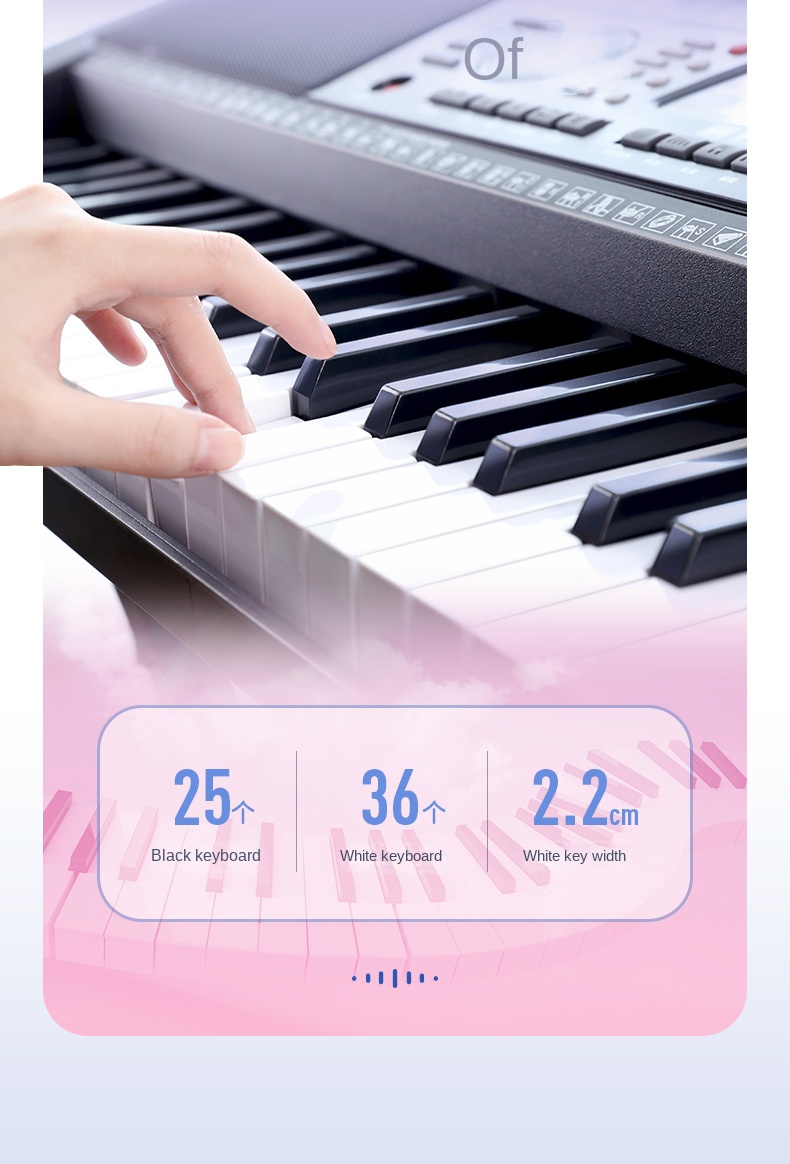 Title 12, Electronic Organ 61 Strength Key Adult Children...