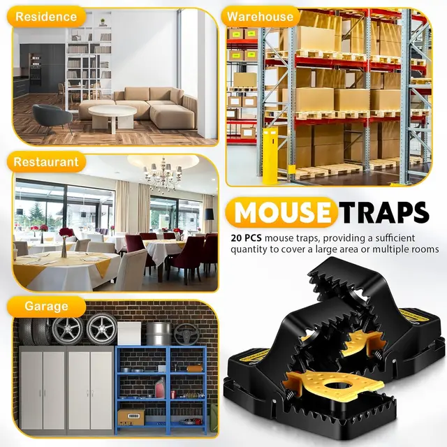 6/12 Pc sMouse Traps for House Small Mice Trap for Indoor Reusable Rat Traps  Snap Traps Quick Effective Safe for Family and Pet - AliExpress