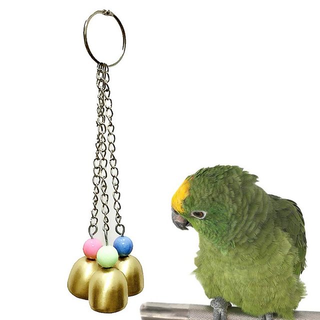 Pet bird shops accessories