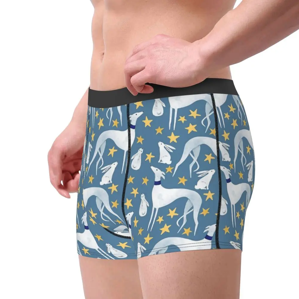Underpants Funny Boxer Shorts Panties Men Galgo Hare And Stars Underwear  Greyhound Whippet Dog Mid Waist For Homme From 10,1 €
