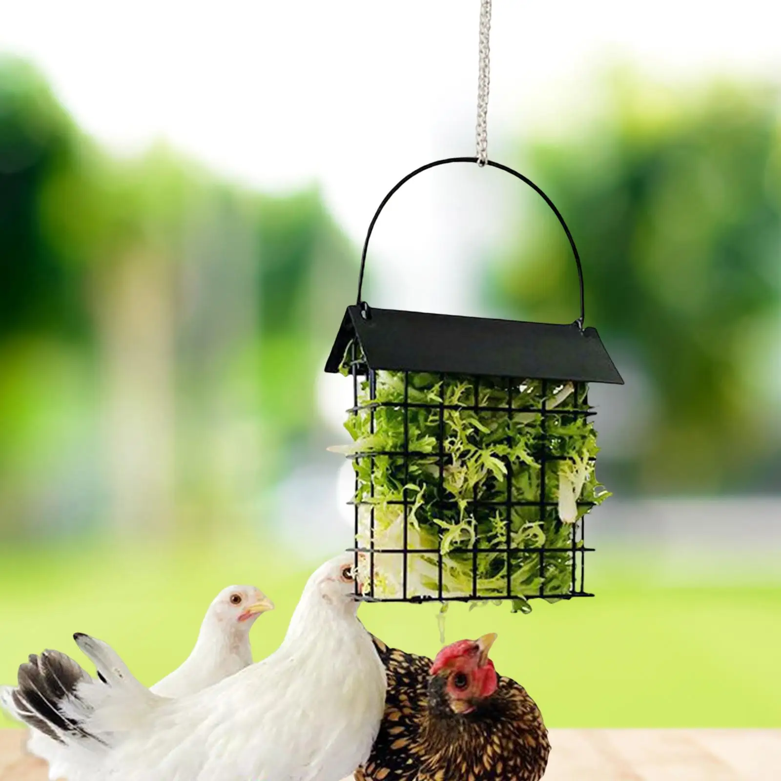 Suet Cake Bird Feeders Hanging Feeder for Hens Chicken Toy Treat Feeding Tool Poultry Fruit Holde for Cabbage Lettuce Veggies