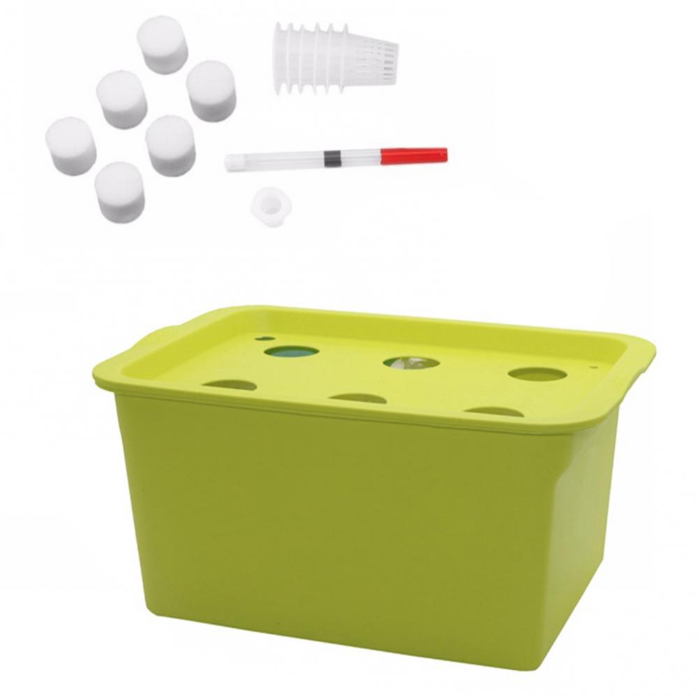 cultivo sem solo Nursery Box Grow Kit