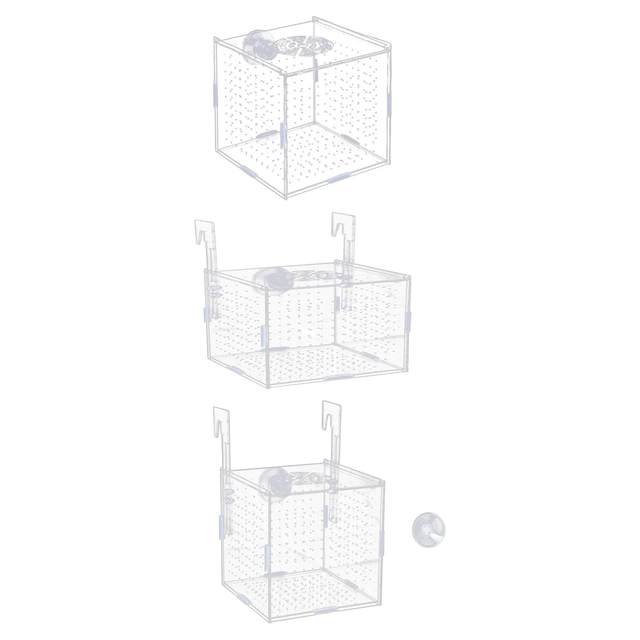 Sala Parto Per Acquario - Scatola Allevamento 30x15x15 Cm Per Pesci Guppy - Foto 5