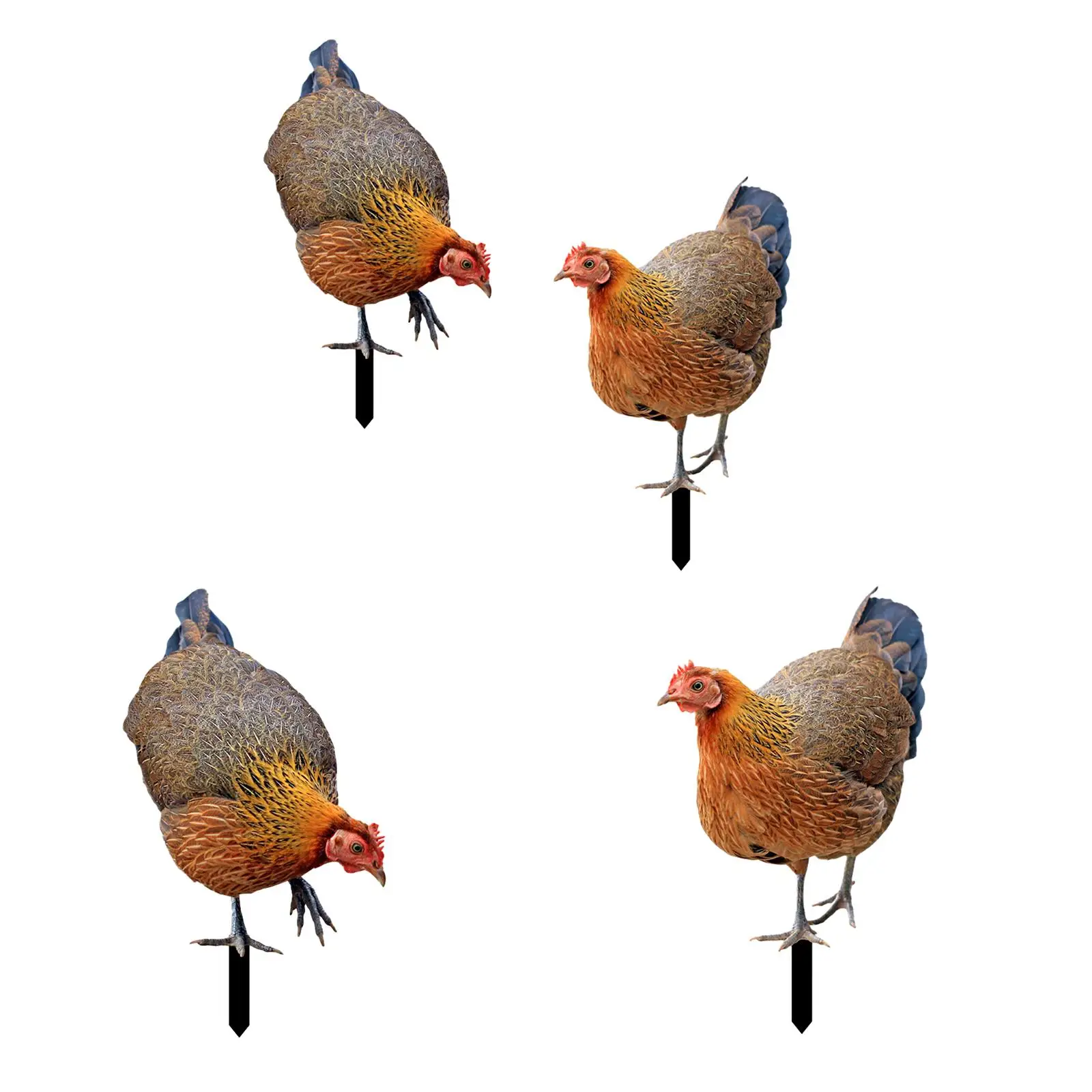 Garden Hen Lifelike Weatherproof Decorative Sign Ornaments Animal Statue Stakes for Outdoor Pathway Patio Courtyard Lawn Yard