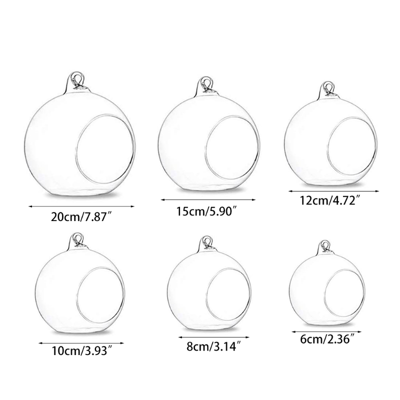 Terrarium Glass Globes Prices And Deals Dec 2022 Shopee Singapore