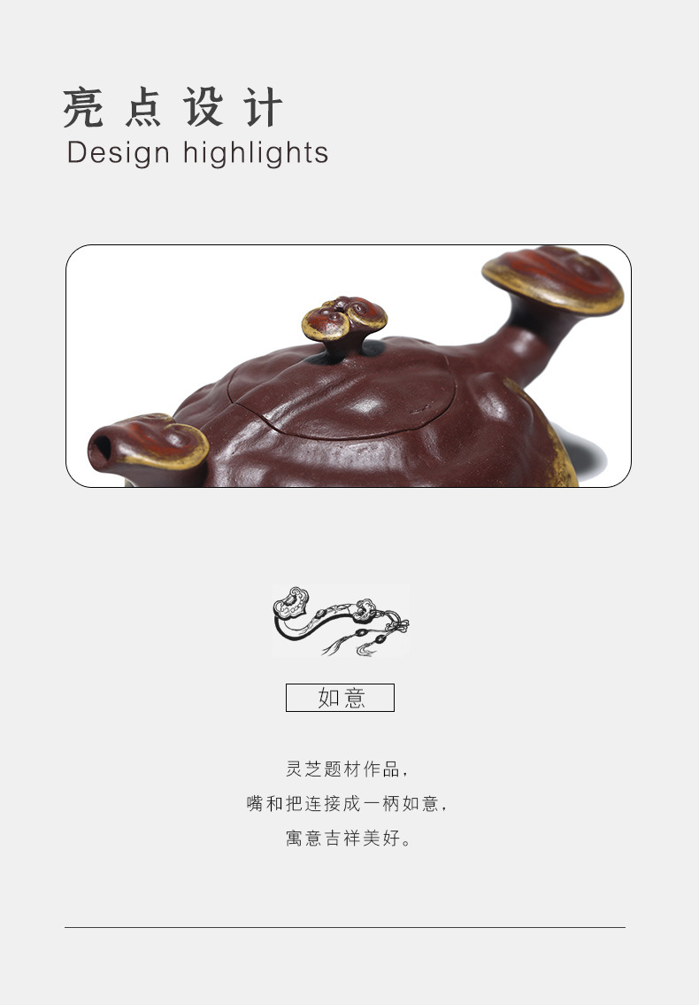 Ganoderma Ruyi_18.jpg