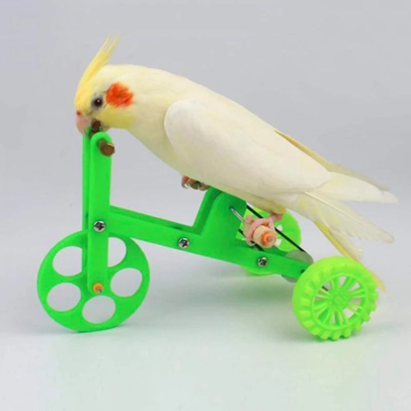 Классификация игрушек для попугаев