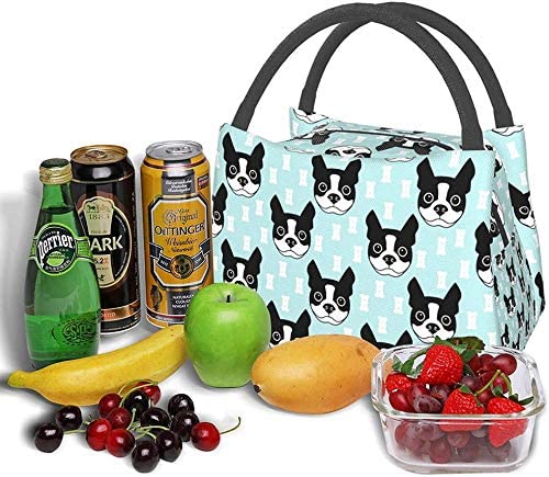 cão isolado lancheira cooler tote saco organizador