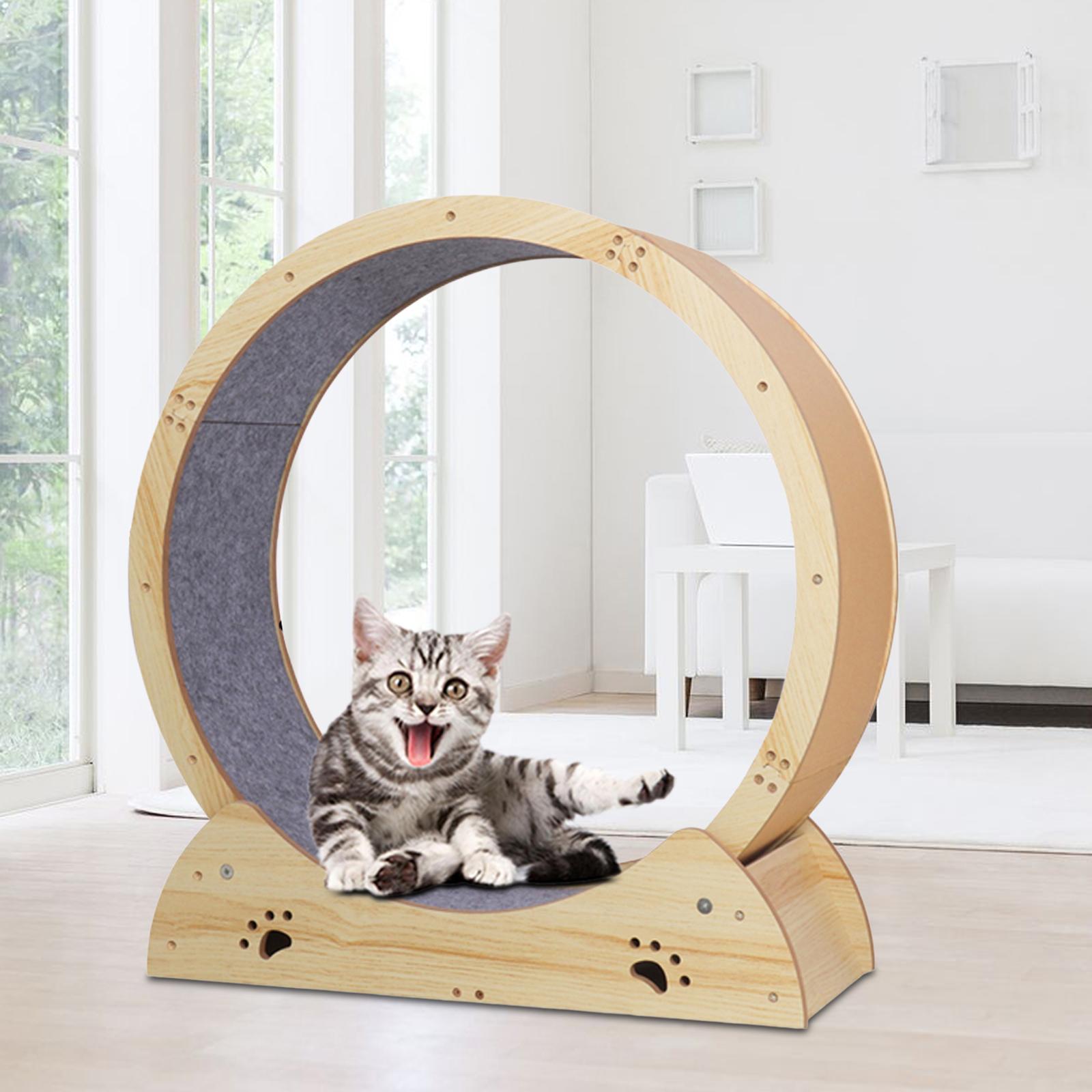 Cat exercise sales wheel aliexpress