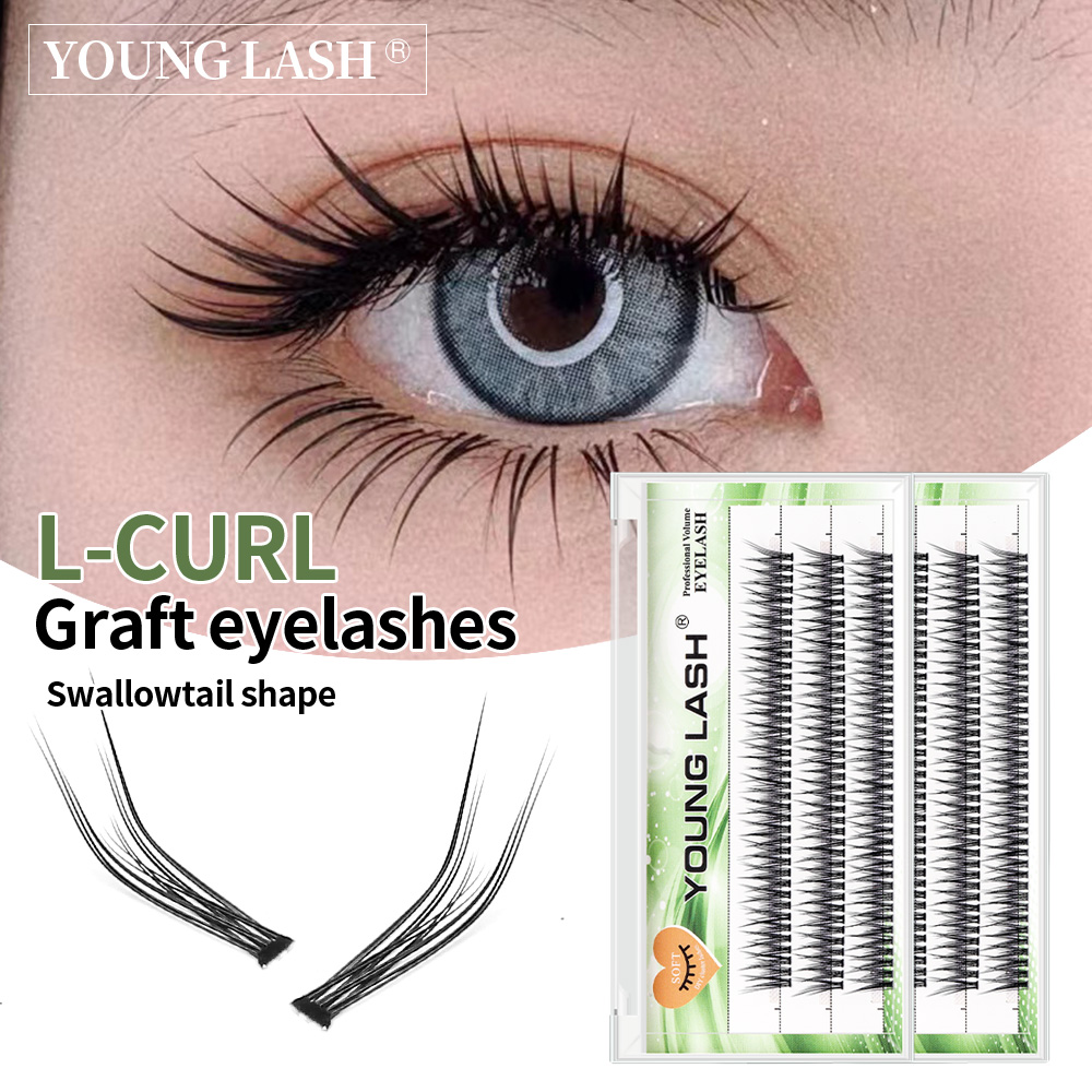 Best of YOUNG LASH L Curl Swallowtail Fairy Segmented False Eyelashes Extensions Cluster Fish Tail Mermaid Tail Type Reviews & Tips