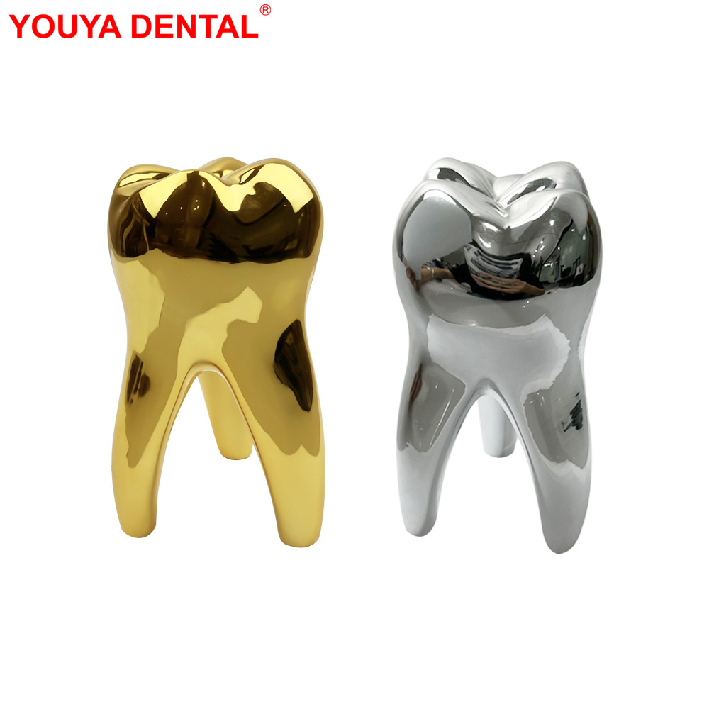 Best of Dentist Tooth Decoration For Dental Clinic Office Table Decor Teeth Model Figurines Ornament Dental Decoration Accessories Gift Reviews & Tips