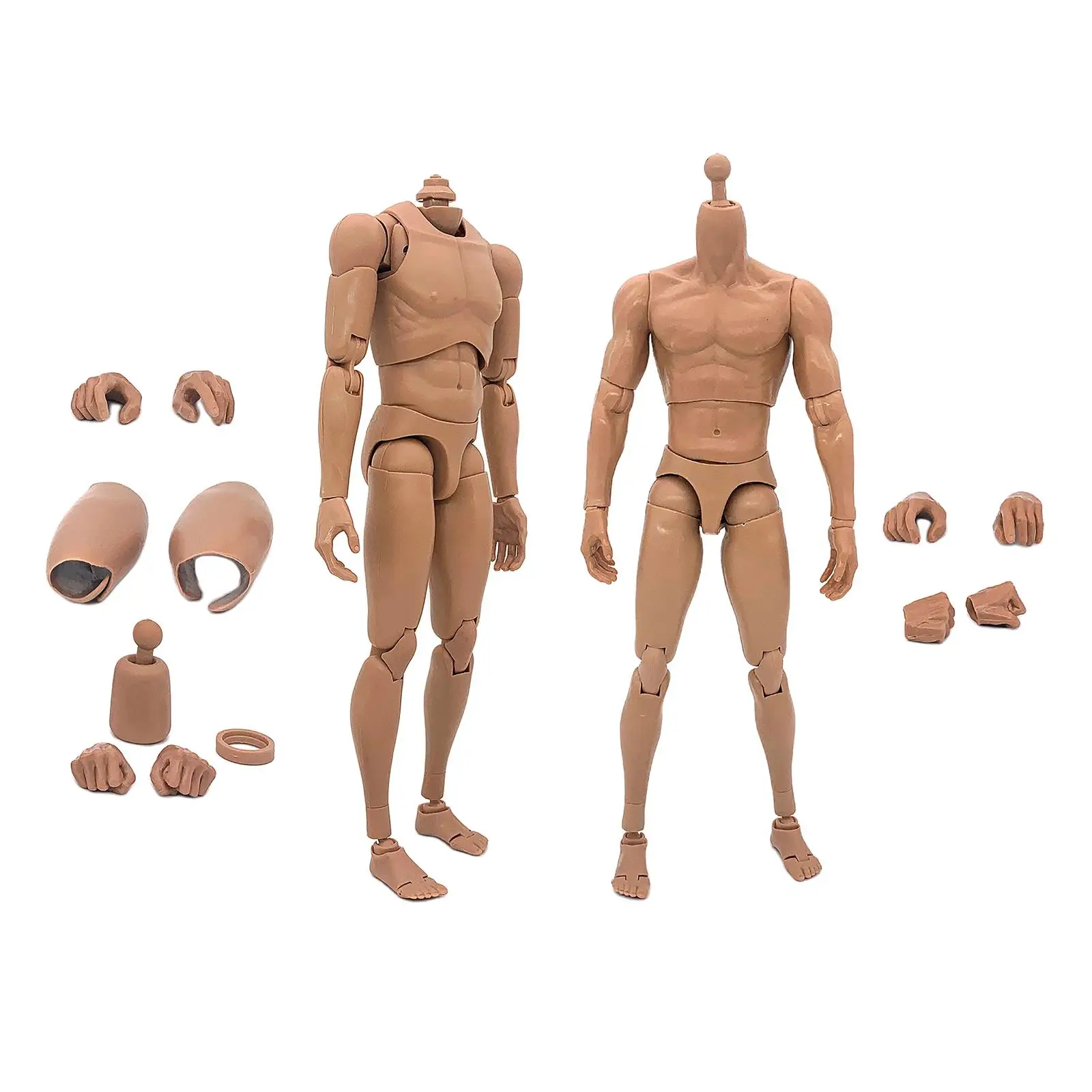 1/6 Action Figure 12`` Man Nude Skeleton Hands Photography Dolls Fits HT