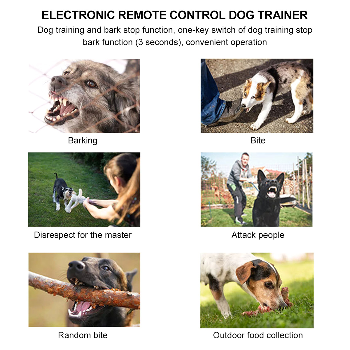 How To Stop A Dog From Randomly Barking