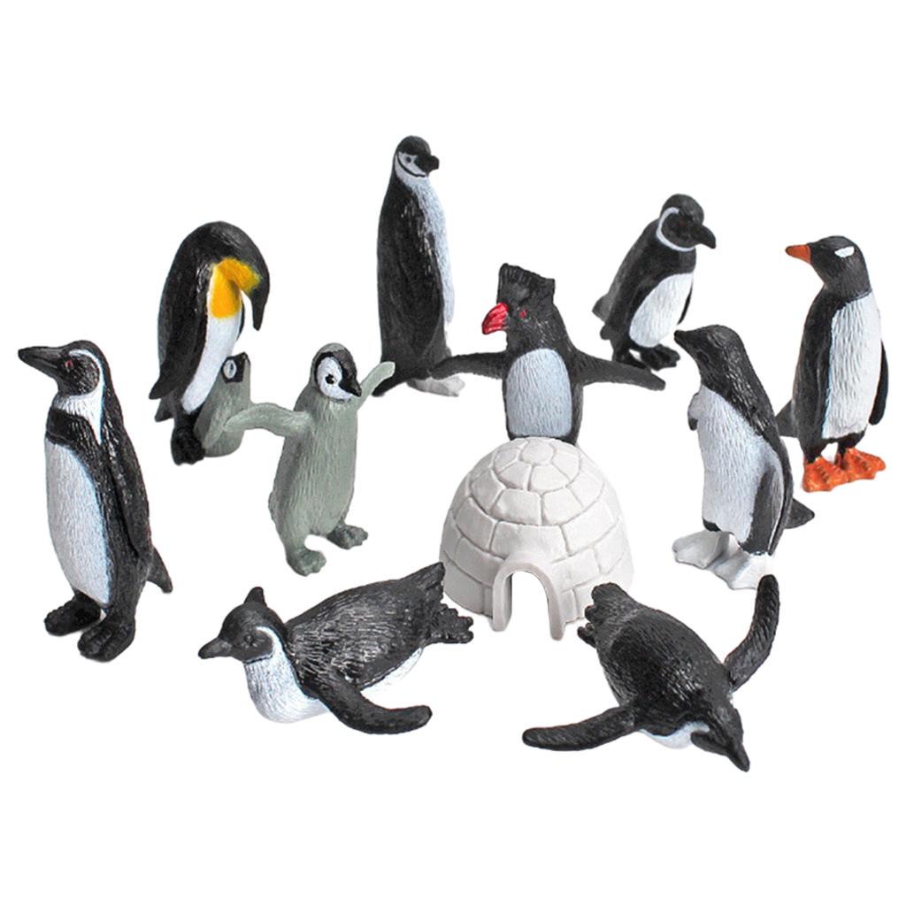 11x Simulation Animal Penguin Toy Educational Toys for Collectibles