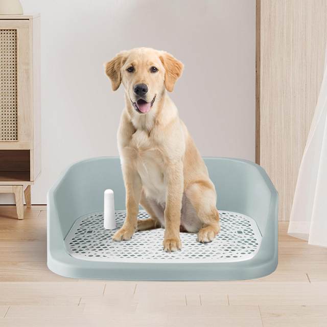 Pet Dog Toilet Puppy Potty Tray Potty Tray Detachable Anti Splashing Training Pad Holder Dog Potty Pan Cleaning Tool Litter Box AliExpress