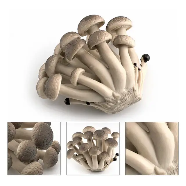 Mushroom Mold Decorative PVC Mushroom Figure Multi Styles Realistic  Mushroom Ornament False Mushroom Figurine Photograph Props - AliExpress