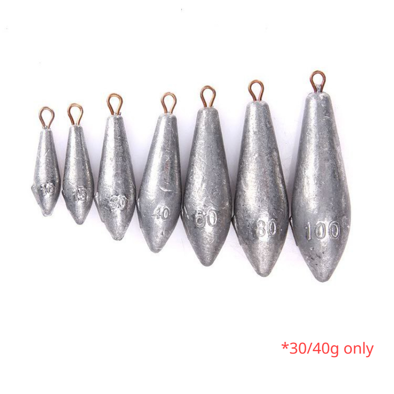 5Pcs Angeln Zubehör 30/40g Willow Blatt Typ mit Skala Starke Blei Platinen mit Ring Lange Streifen fuß Gramm Platinen Tackle – Detail 1