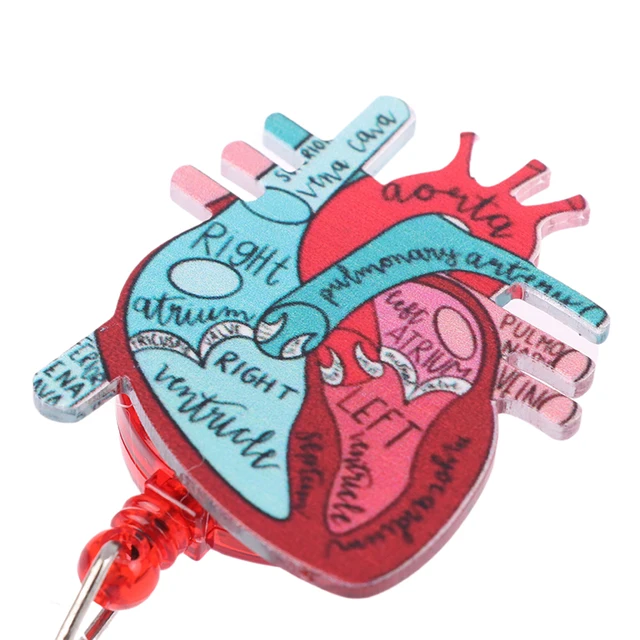 Anatomical Heart Diagram Retractable Badge Reel Telemetry Cardiology Nurse  Badge Holder Monitor Tech Nursing - AliExpress