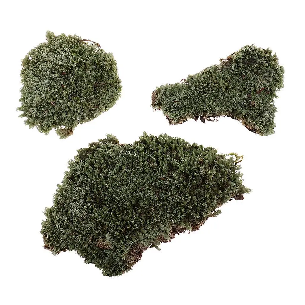   Sacle Sand Armor Building Lichen Moss Model for   Scenery Props