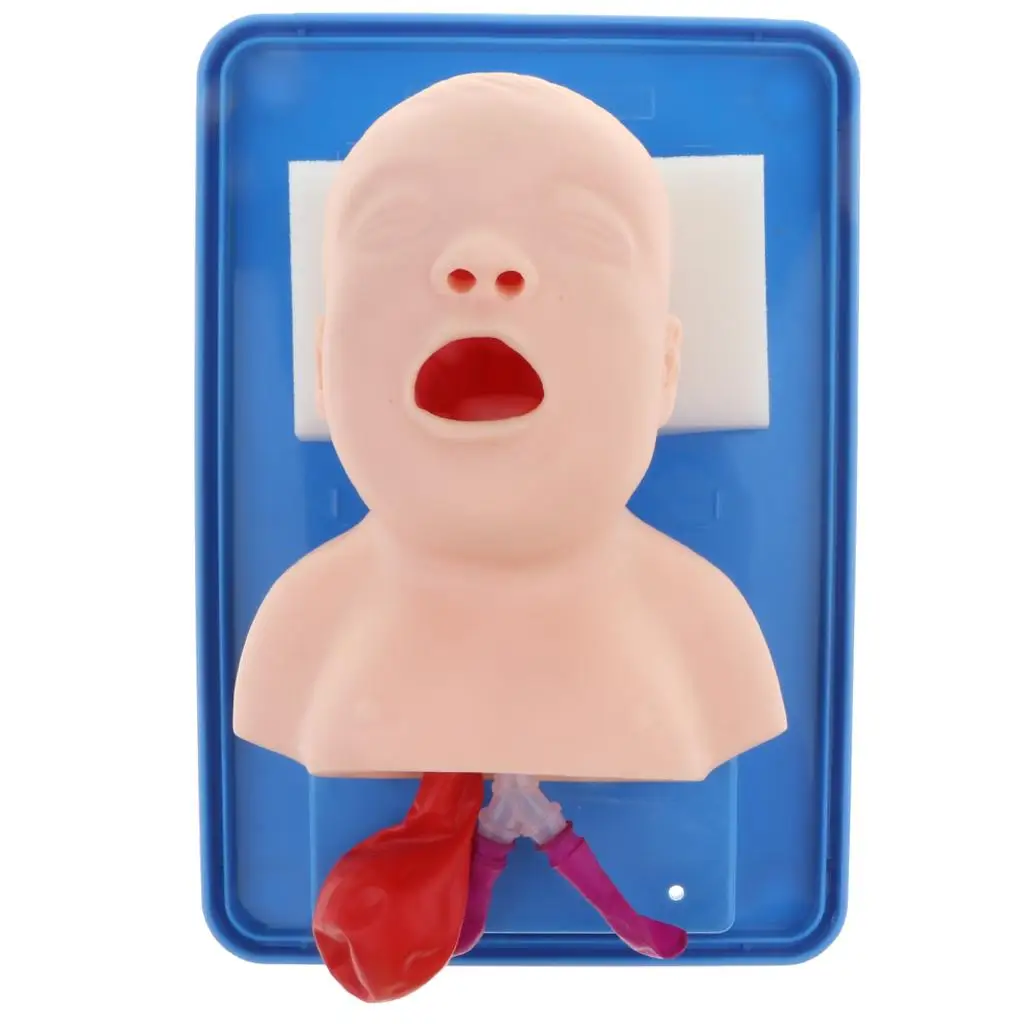 Infant Intubation Manikin Model with   Management  Intubation Manikin Study Teaching  Nursery Students Practice Tool