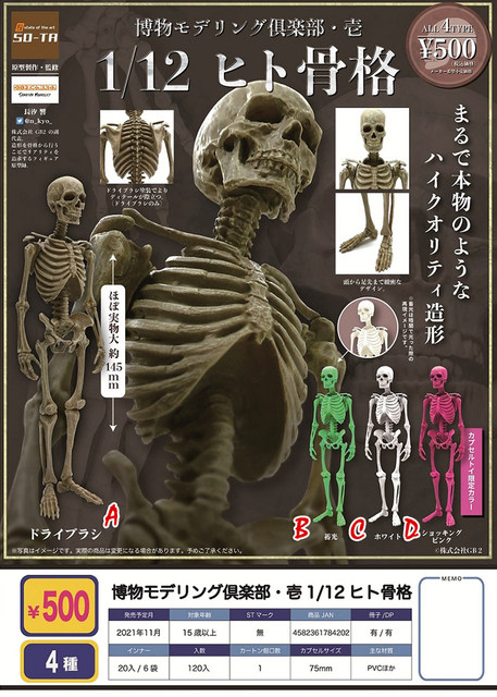 1/12 Scale Half-body Flesh Blood Skeleton Human Skeleton PVC Model