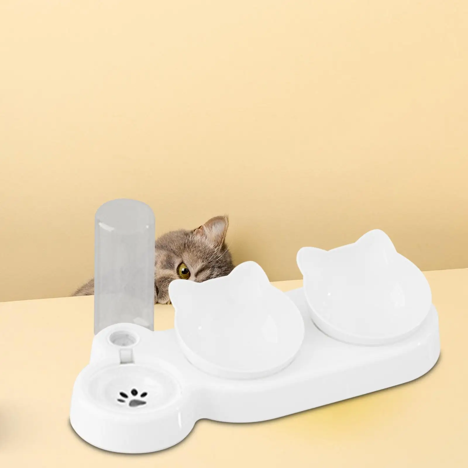 3 in 1 Cat Bowl Wet and Dry Food Bowl Durable Detachable Pet Feeder Pet Feeding